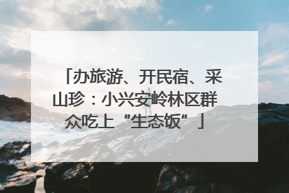 办旅游、开民宿、采山珍：小兴安岭林区群众吃上“生态饭”