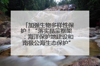加强生物多样性保护！“落实昆蒙框架：海洋保护地建设和南极公海生态保护”主题论坛将举办