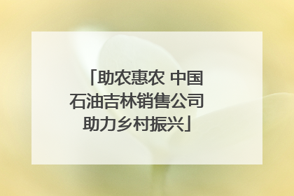 助农惠农 中国石油吉林销售公司助力乡村振兴