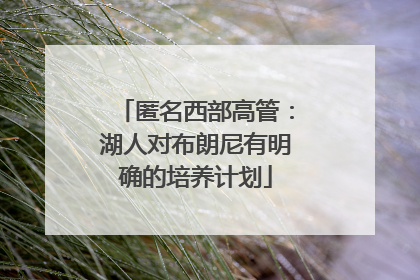 匿名西部高管：湖人对布朗尼有明确的培养计划