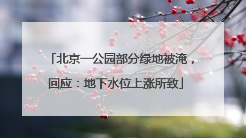北京一公园部分绿地被淹，回应：地下水位上涨所致