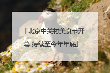 北京中关村美食节开幕 持续至今年年底