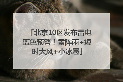 北京10区发布雷电蓝色预警！雷阵雨+短时大风+小冰雹