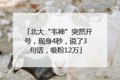 北大“韦神”突然开号，现身4秒，说了3句话，吸粉12万