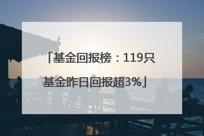 基金回报榜：119只基金昨日回报超3%