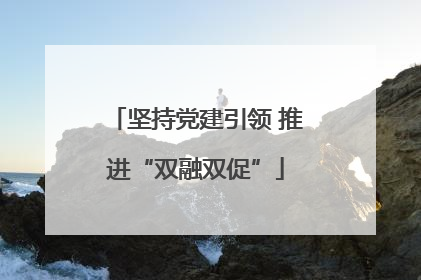 坚持党建引领 推进“双融双促”