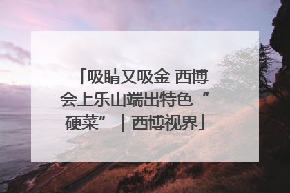 吸睛又吸金 西博会上乐山端出特色“硬菜”｜西博视界
