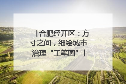 合肥经开区：方寸之间，细绘城市治理“工笔画”