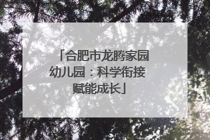 合肥市龙腾家园幼儿园：科学衔接 赋能成长