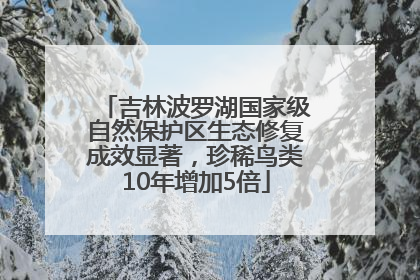 吉林波罗湖国家级自然保护区生态修复成效显著，珍稀鸟类10年增加5倍