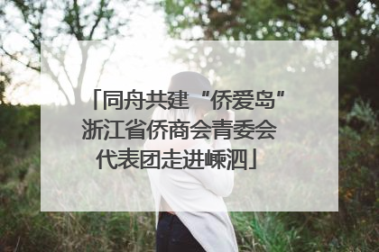 同舟共建“侨爱岛” 浙江省侨商会青委会代表团走进嵊泗