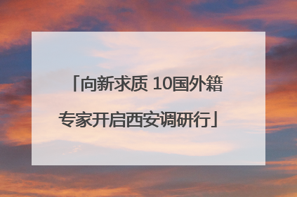 向新求质 10国外籍专家开启西安调研行