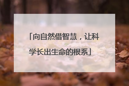 向自然借智慧，让科学长出生命的根系