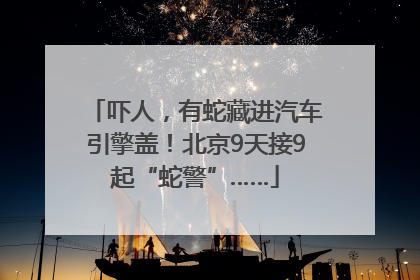 吓人，有蛇藏进汽车引擎盖！北京9天接9起“蛇警”……