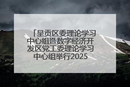 呈贡区委理论学习中心组暨数字经济开发区党工委理论学习中心组举行2025年第七次学习会议