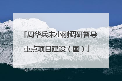 周华兵未小刚调研督导重点项目建设（图）