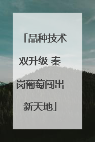 品种技术双升级 秦岗葡萄闯出新天地