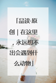 品读·原创｜在这里，永远想不出会遇到什么动物