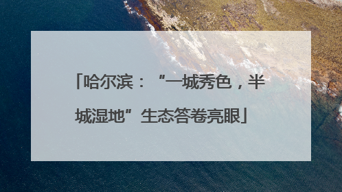 哈尔滨：“一城秀色，半城湿地”生态答卷亮眼