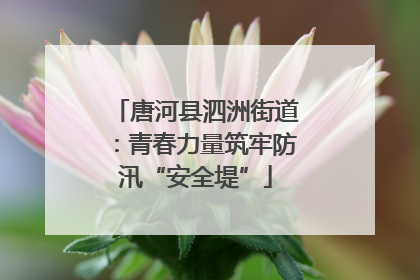 唐河县泗洲街道：青春力量筑牢防汛“安全堤”