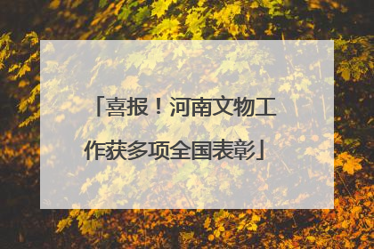 喜报！河南文物工作获多项全国表彰