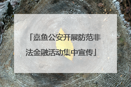 嘉鱼公安开展防范非法金融活动集中宣传