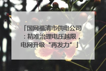 国网福清市供电公司：精准治理电压越限，电网升级“再发力”