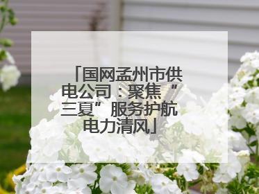 国网孟州市供电公司：聚焦“三夏”服务护航电力清风