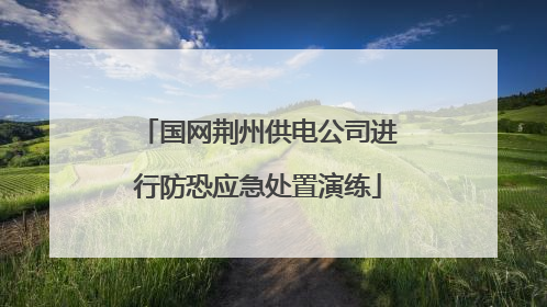 国网荆州供电公司进行防恐应急处置演练