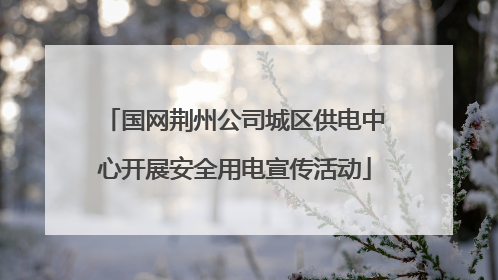 国网荆州公司城区供电中心开展安全用电宣传活动