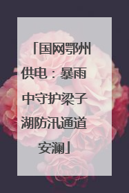 国网鄂州供电：暴雨中守护梁子湖防汛通道安澜