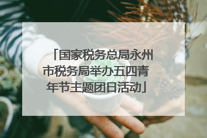 国家税务总局永州市税务局举办五四青年节主题团日活动