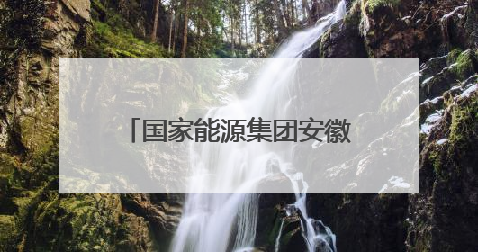 国家能源集团安徽合肥电厂团委：以青春之力践行社会责任与创新担当