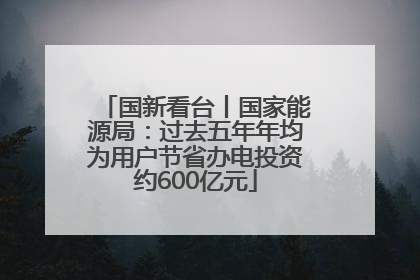国新看台丨国家能源局：过去五年年均为用户节省办电投资约600亿元