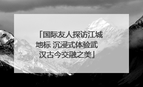 国际友人探访江城地标 沉浸式体验武汉古今交融之美