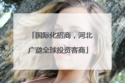 国际化招商，河北广邀全球投资客商
