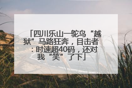 四川乐山一鸵鸟“越狱”马路狂奔，目击者：时速超40码，还对我“笑”了下