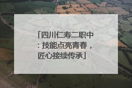 四川仁寿二职中：技能点亮青春，匠心接续传承