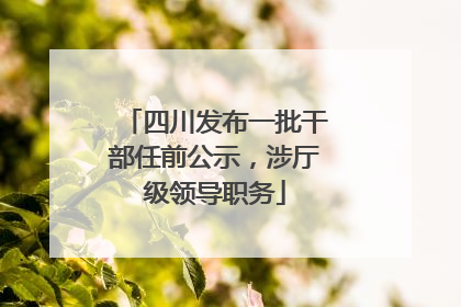 四川发布一批干部任前公示，涉厅级领导职务