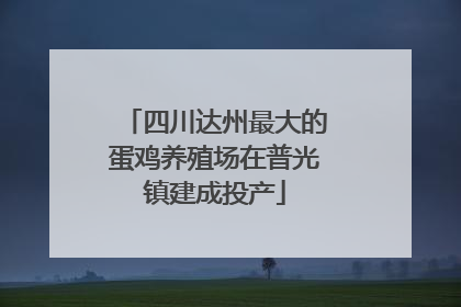 四川达州最大的蛋鸡养殖场在普光镇建成投产