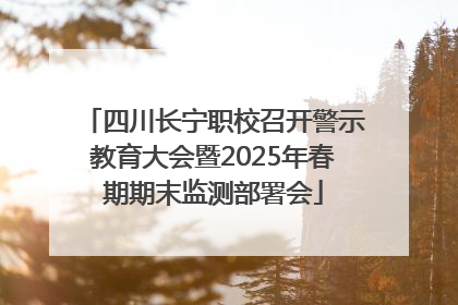 四川长宁职校召开警示教育大会暨2025年春期期末监测部署会