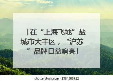 在“上海飞地”盐城市大丰区，“沪苏”品牌日益响亮