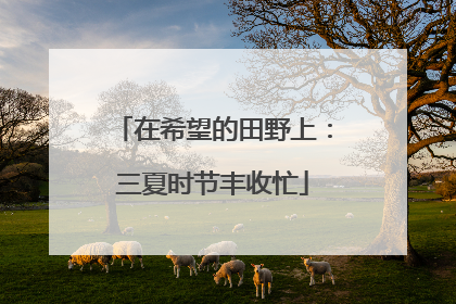 在希望的田野上：三夏时节丰收忙
