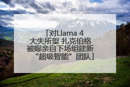 对Llama 4大失所望 扎克伯格被曝亲自下场组建新“超级智能”团队