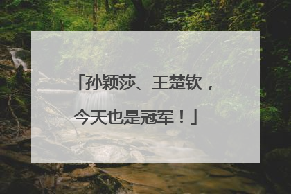 孙颖莎、王楚钦，今天也是冠军！