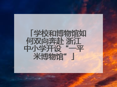 学校和博物馆如何双向奔赴 浙江中小学开设“一平米博物馆”