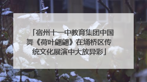 宿州十一中教育集团中国舞《荷叶翩翩》在埇桥区传统文化展演中大放异彩
