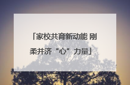 家校共育新动能 刚柔并济“心”力量