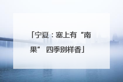 宁夏：塞上有“南果” 四季别样香
