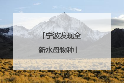 宁波发现全新水母物种